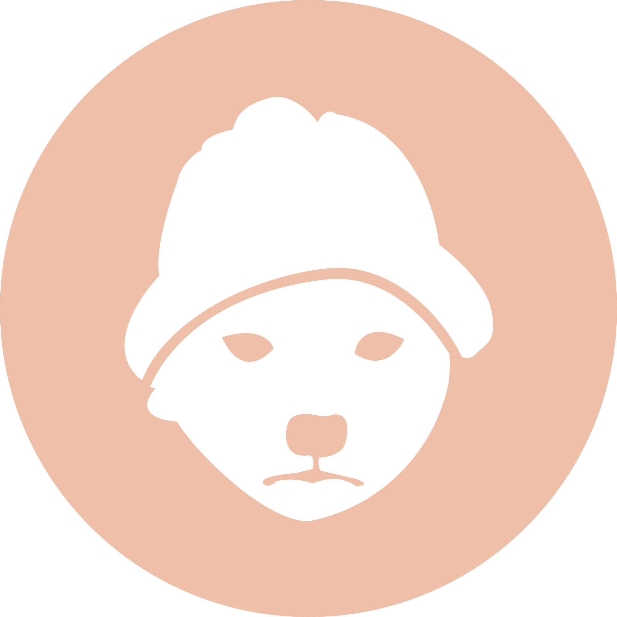 An image of the dogwifhat logo.